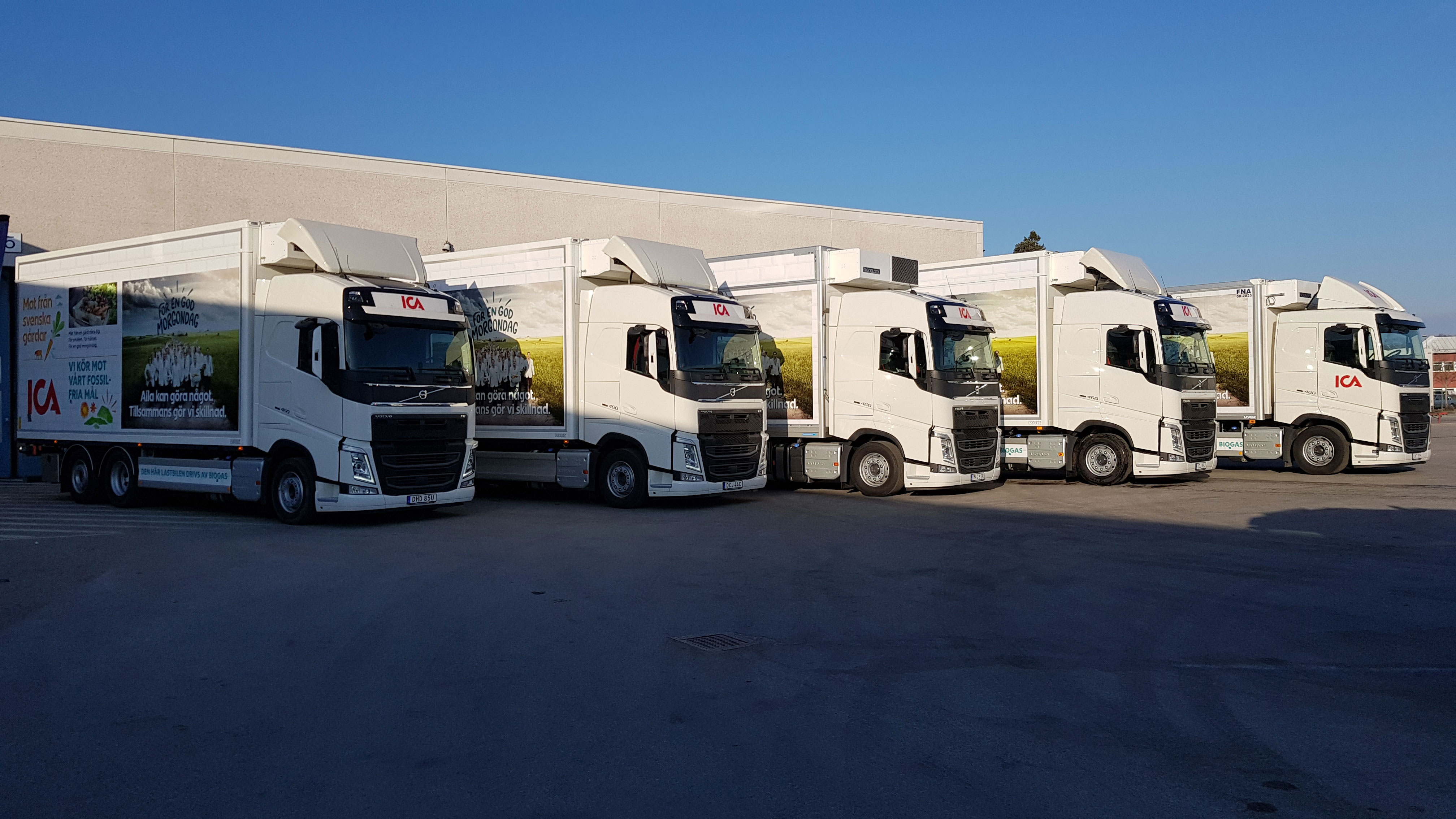 To bring about an immediate reduction in the carbon dioxide emissions from its heavy goods transport between cities, ICA uses Volvo trucks running on biogas.